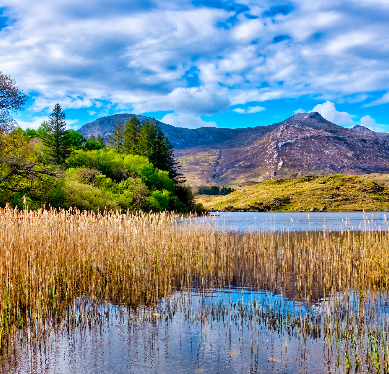 Tour da Dublino della Natura del Connemara