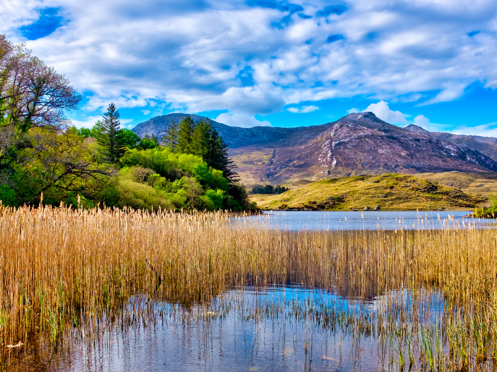 Tour da Dublino della Natura del Connemara